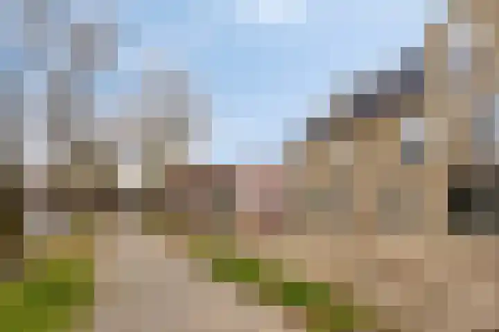 Doctor Hoebenstraat 2 B Oss thumbnail 6
