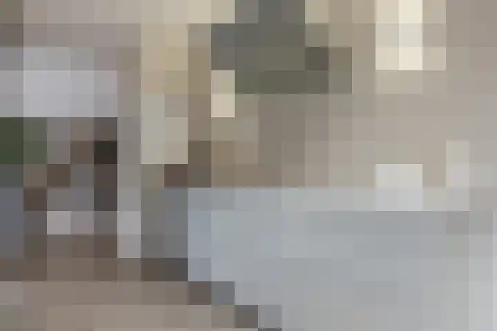 Doctor Keyzerlaan 13 Goirle thumbnail 16