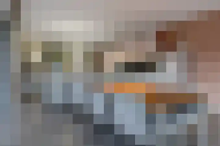 Doctor Keyzerlaan 13 Goirle thumbnail 19
