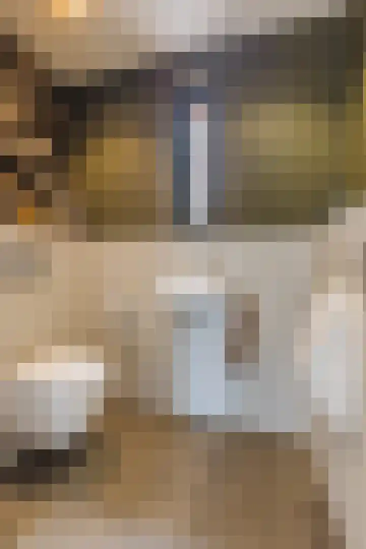 Doctor Keyzerlaan 13 Goirle thumbnail 25