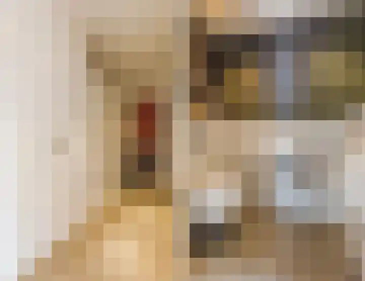Doctor Keyzerlaan 13 Goirle thumbnail 26