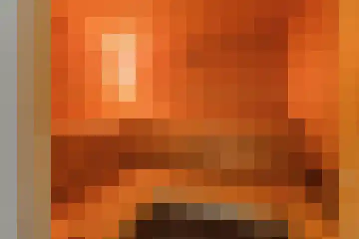 Doctor Keyzerlaan 13 Goirle thumbnail 27