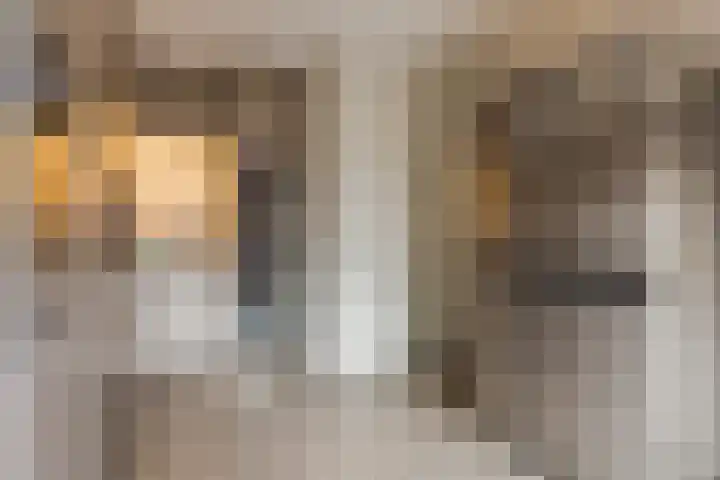 Doctor Keyzerlaan 13 Goirle thumbnail 28
