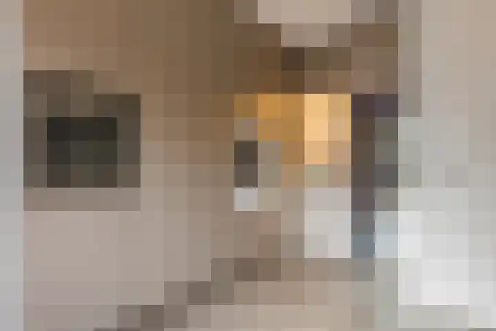 Doctor Keyzerlaan 13 Goirle thumbnail 29