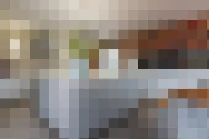 Doctor Keyzerlaan 13 Goirle foto 3