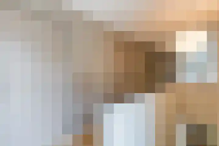 Doctor Keyzerlaan 13 Goirle thumbnail 35
