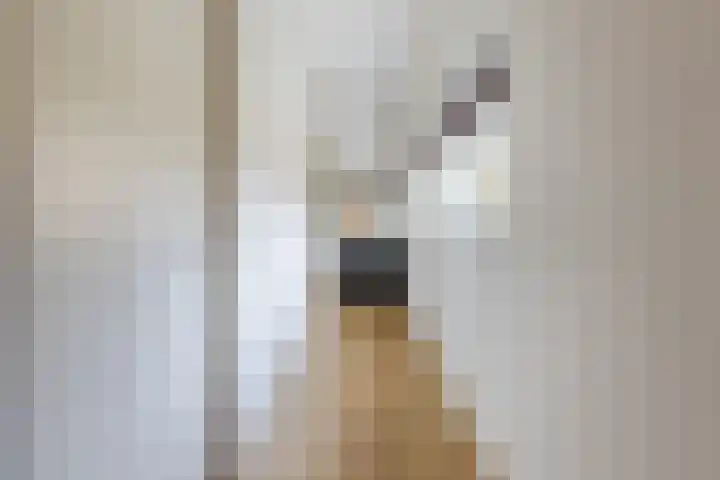 Doctor Keyzerlaan 13 Goirle thumbnail 37