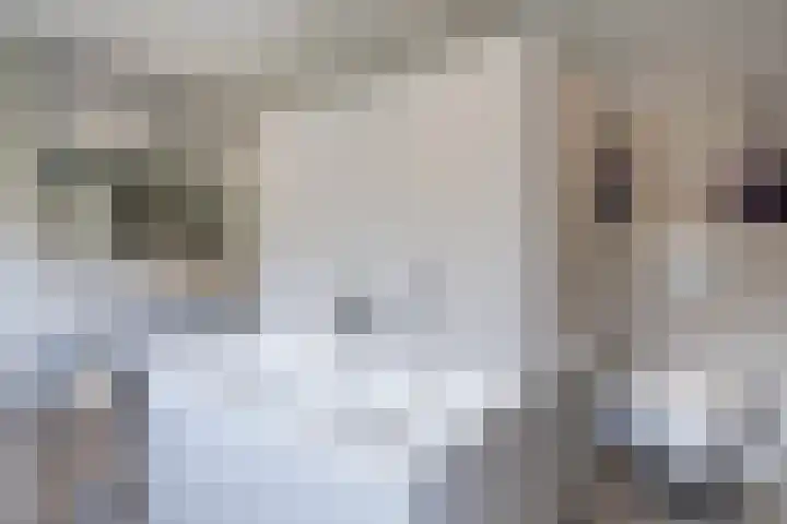 Doctor Keyzerlaan 13 Goirle thumbnail 46