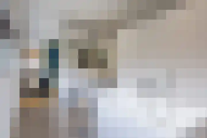 Doctor Keyzerlaan 13 Goirle thumbnail 47