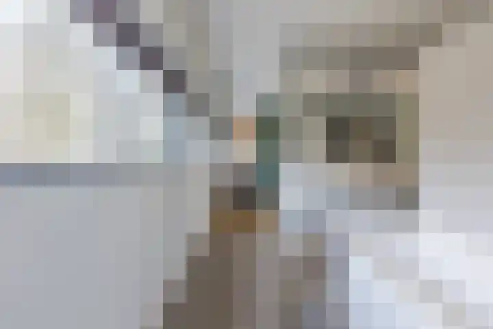 Doctor Keyzerlaan 13 Goirle thumbnail 48