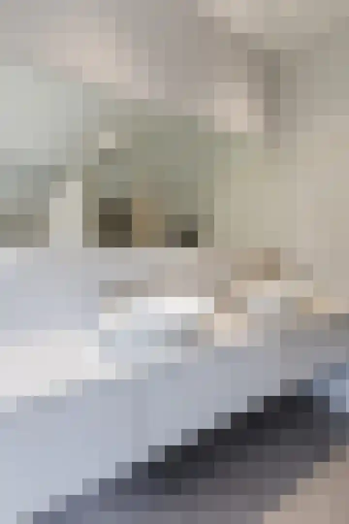 Doctor Keyzerlaan 13 Goirle thumbnail 49
