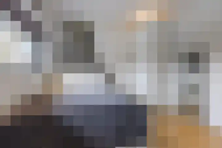Doctor Keyzerlaan 13 Goirle thumbnail 54