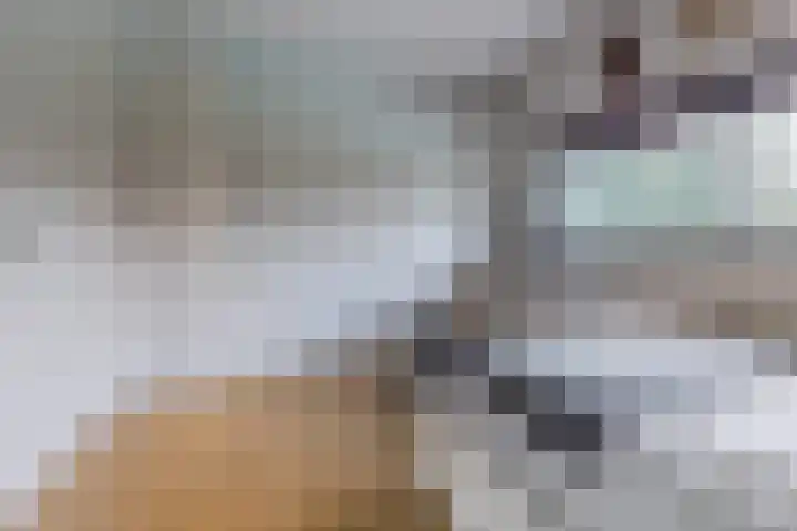 Doctor Keyzerlaan 13 Goirle thumbnail 55