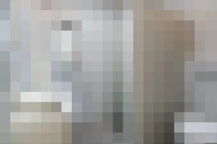 Doctor Keyzerlaan 13 Goirle thumbnail 58
