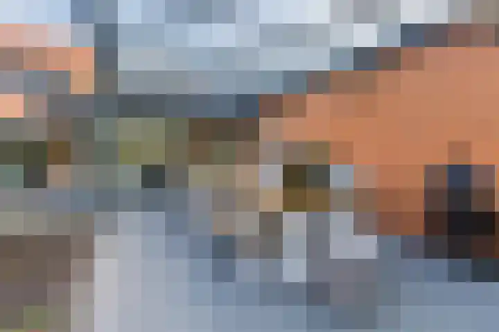 Doctor Keyzerlaan 13 Goirle thumbnail 61