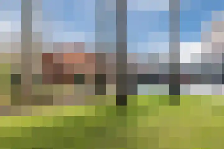 Doctor Keyzerlaan 13 Goirle thumbnail 62