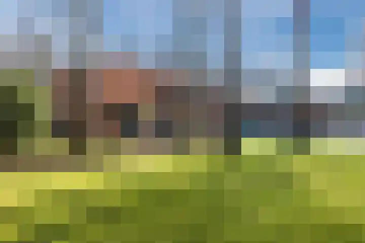 Doctor Keyzerlaan 13 Goirle thumbnail 63