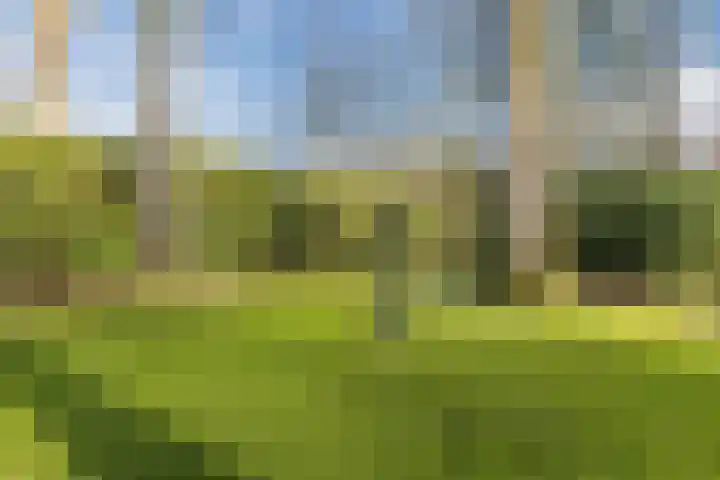 Doctor Keyzerlaan 13 Goirle thumbnail 64