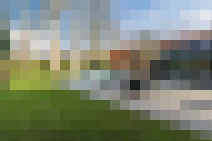 Doctor Keyzerlaan 13 Goirle thumbnail 71
