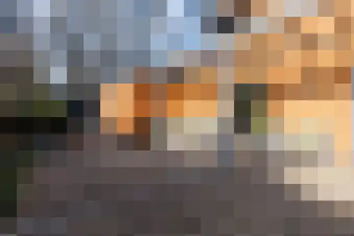 Doctor Keyzerlaan 13 Goirle thumbnail 79