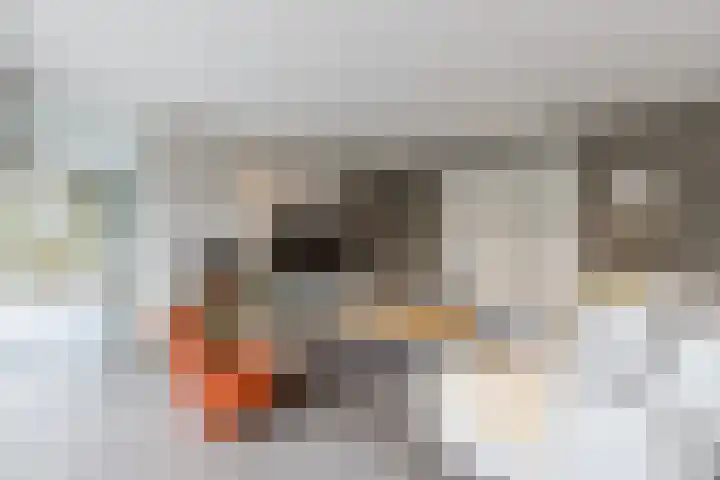 Doctor Keyzerlaan 13 Goirle thumbnail 8