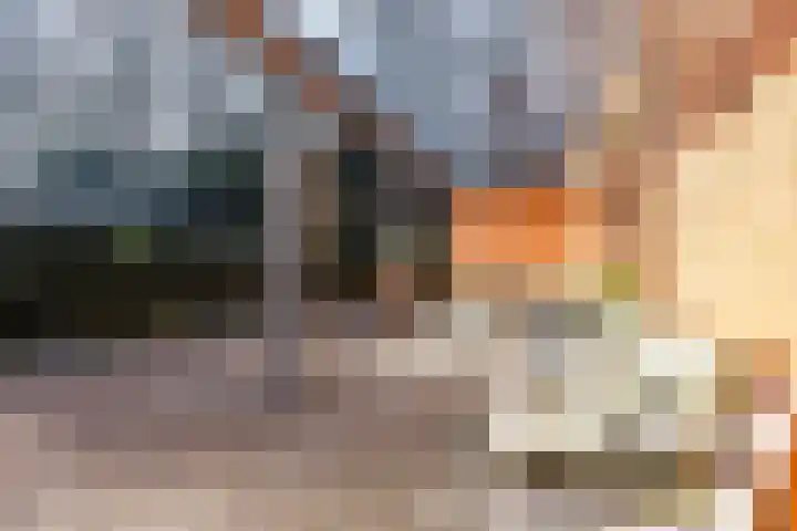 Doctor Keyzerlaan 13 Goirle thumbnail 80