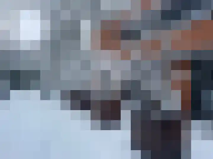 Doctor Keyzerlaan 13 Goirle thumbnail 81