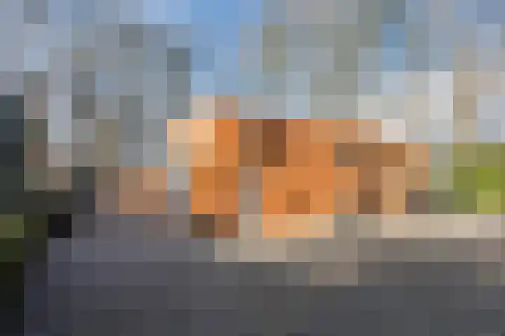 Doctor Keyzerlaan 13 Goirle thumbnail 82
