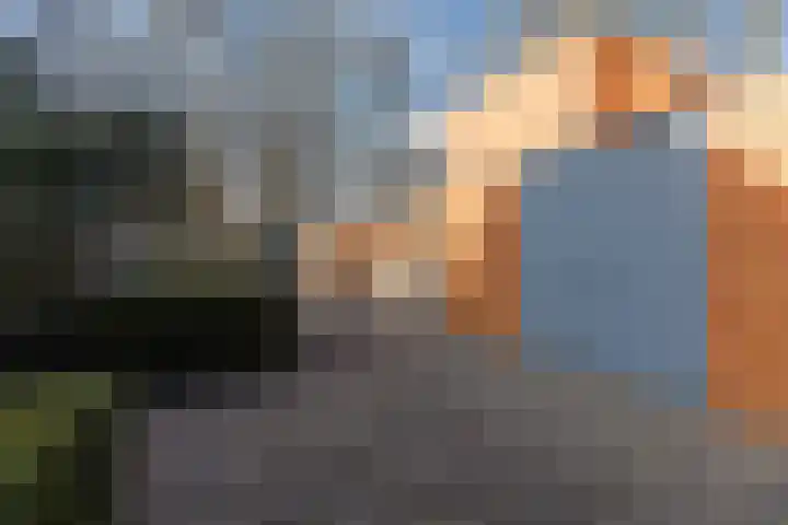 Doctor Keyzerlaan 13 Goirle thumbnail 86
