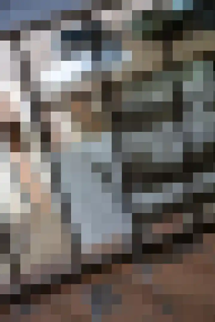 Doctor Keyzerlaan 4 a Goirle thumbnail 12