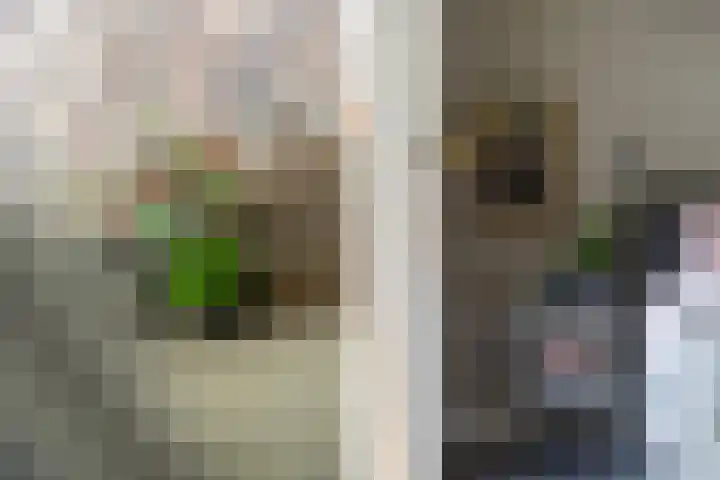 Doctor Keyzerlaan 4 a Goirle thumbnail 30