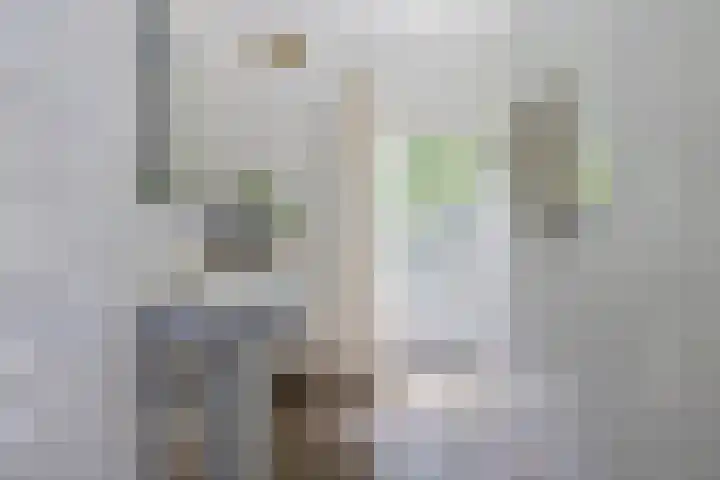 Doctor Keyzerlaan 4 a Goirle thumbnail 31