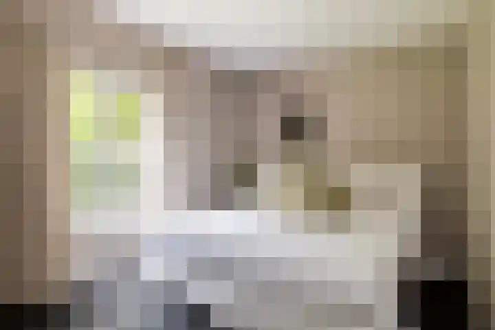 Doctor Keyzerlaan 4 a Goirle thumbnail 34