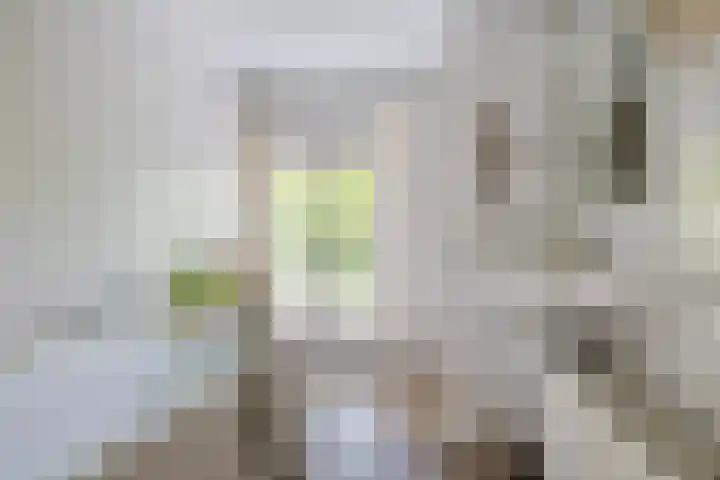 Doctor Keyzerlaan 4 a Goirle thumbnail 35
