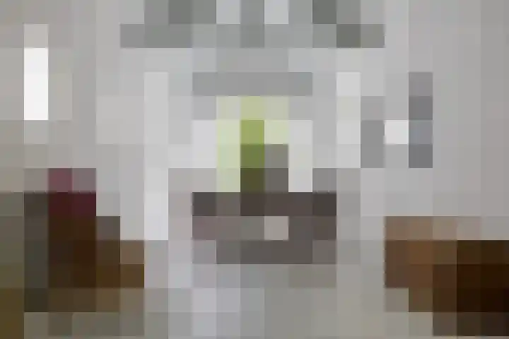 Doctor Keyzerlaan 4 a Goirle thumbnail 38