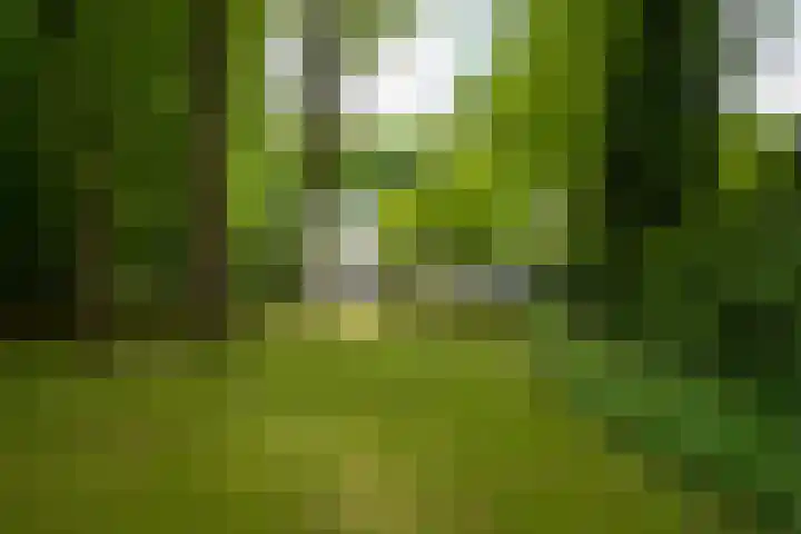 Doctor Keyzerlaan 4 a Goirle thumbnail 39