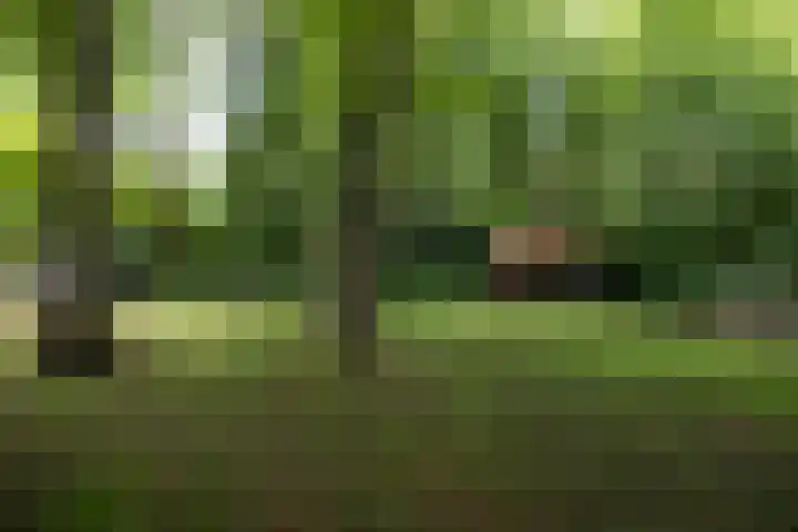 Doctor Keyzerlaan 4 a Goirle thumbnail 41