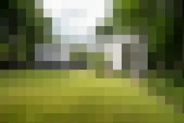 Doctor Keyzerlaan 4 a Goirle thumbnail 43