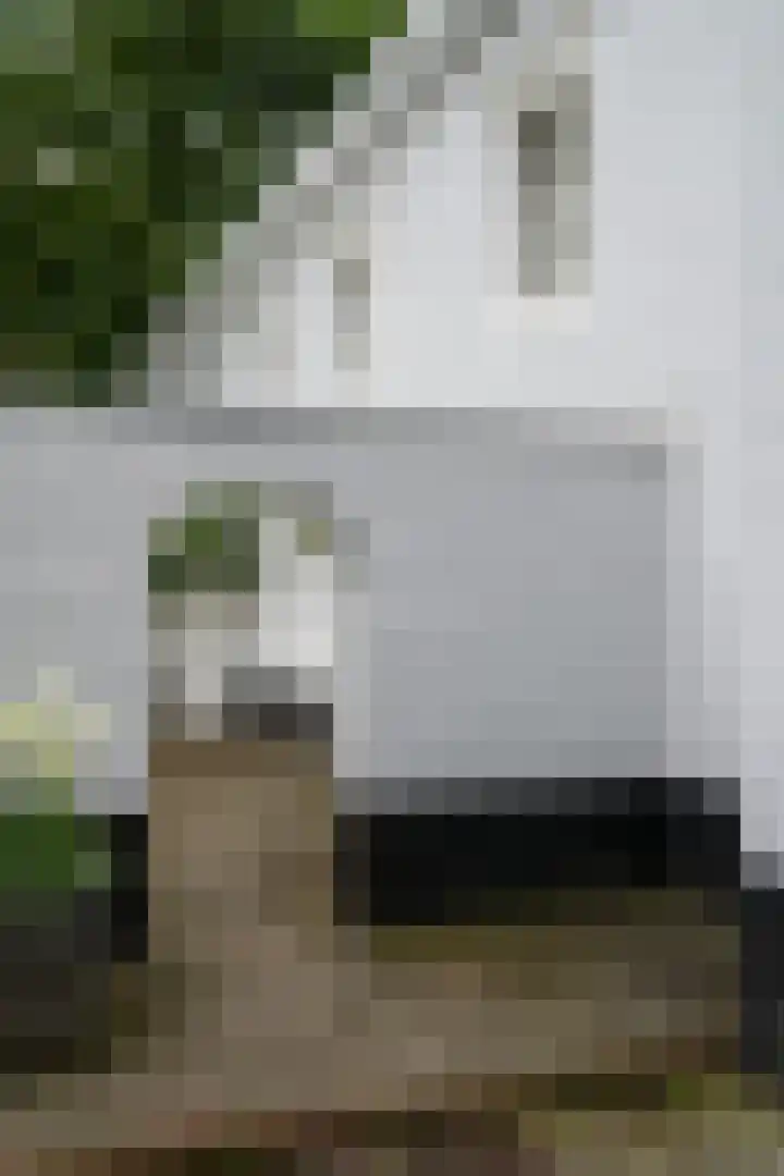 Doctor Keyzerlaan 4 a Goirle thumbnail 6