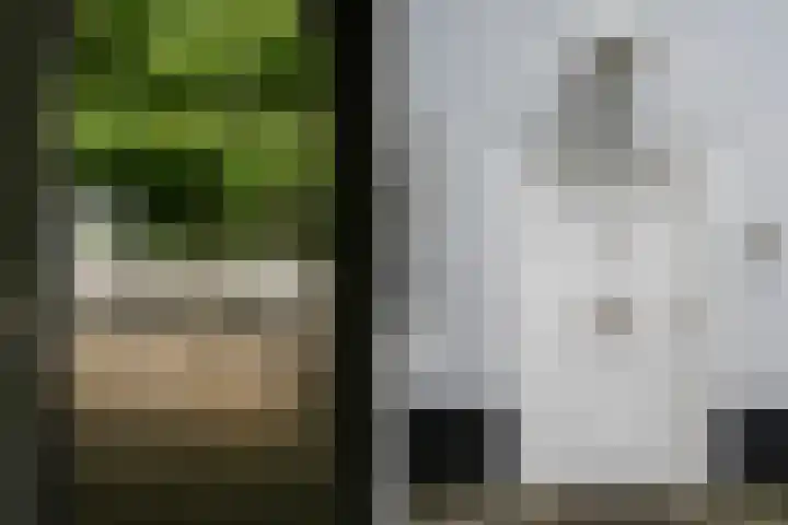 Doctor Keyzerlaan 4 a Goirle thumbnail 8