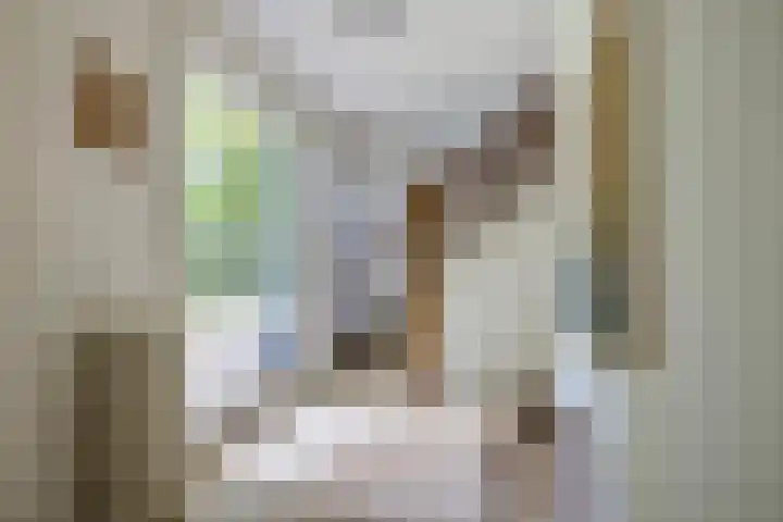 Doctor Keyzerlaan 4 a Goirle thumbnail 9