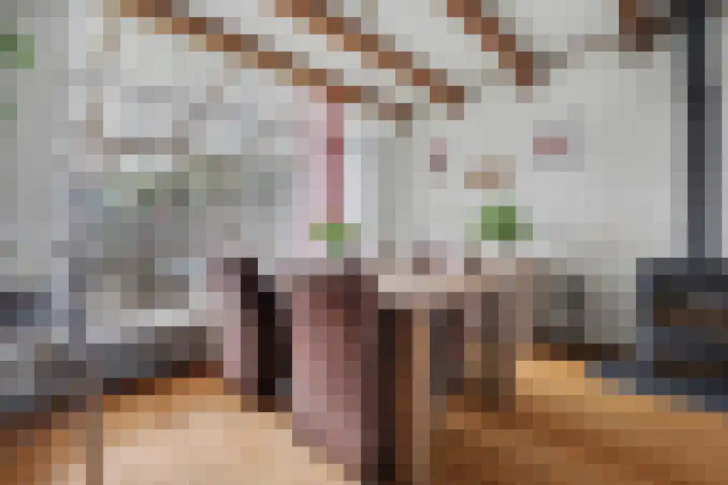 Doctor Kuyperstraat 2 Kaatsheuvel thumbnail 11