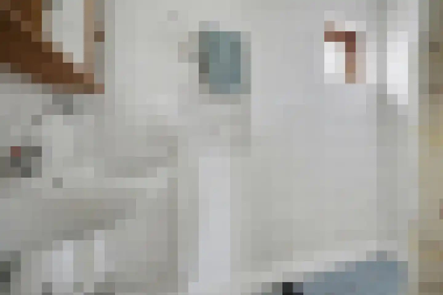 Doctor Kuyperstraat 2 Kaatsheuvel thumbnail 20