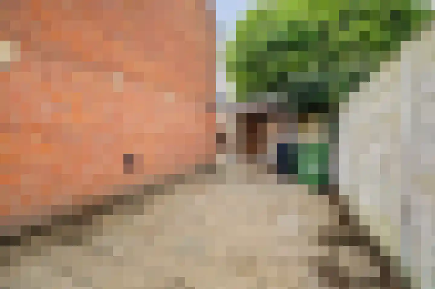Doctor Kuyperstraat 2 Kaatsheuvel thumbnail 30