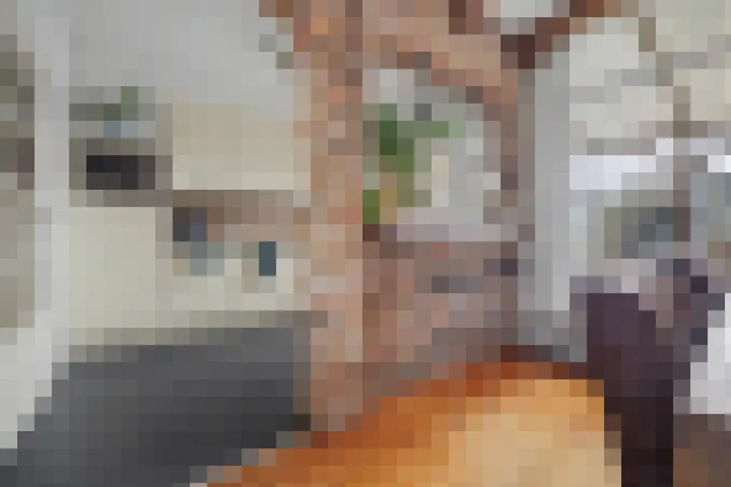 Doctor Kuyperstraat 2 Kaatsheuvel thumbnail 5