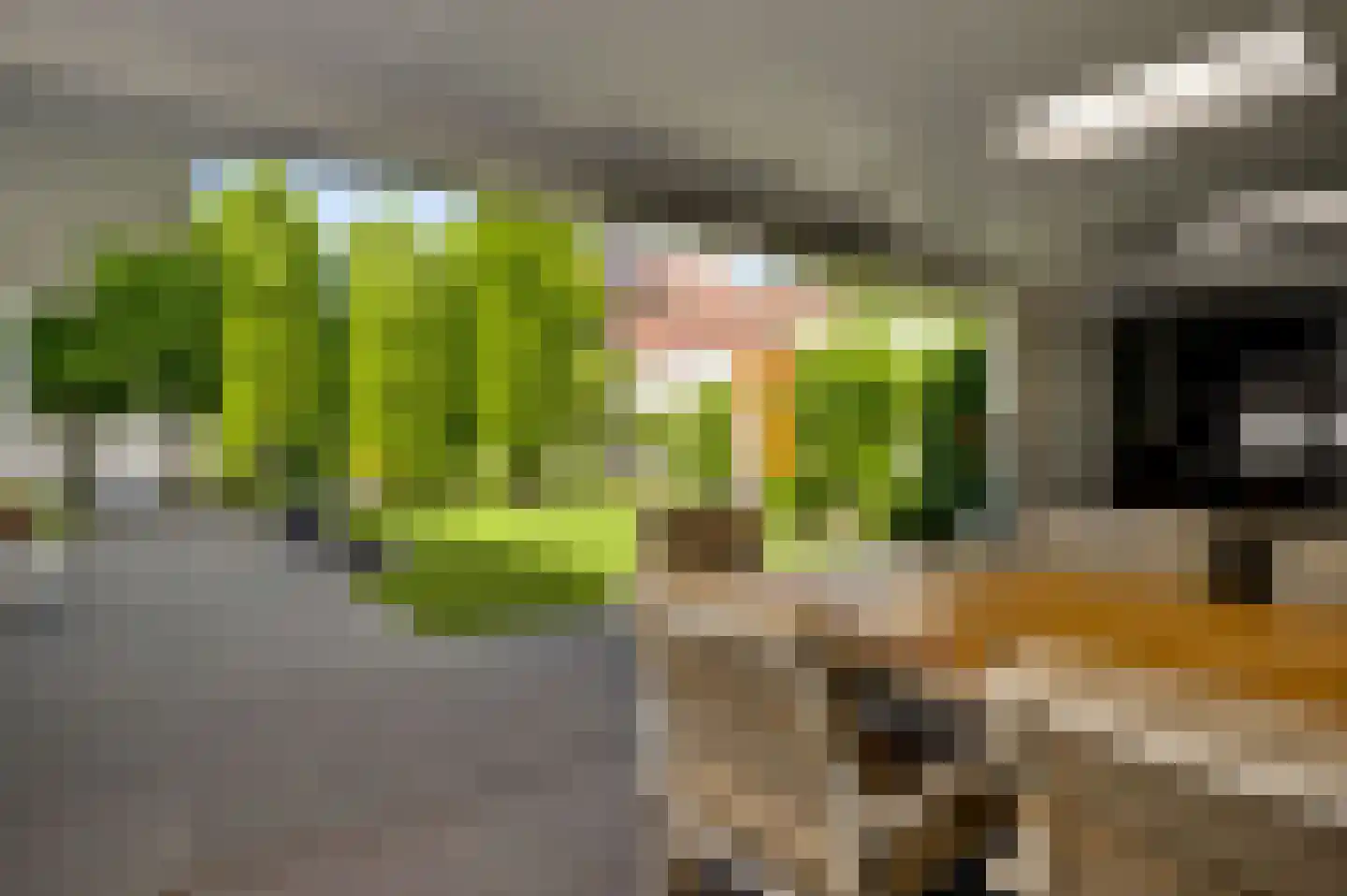 Doctor Kuyperstraat 3 Weert thumbnail 33