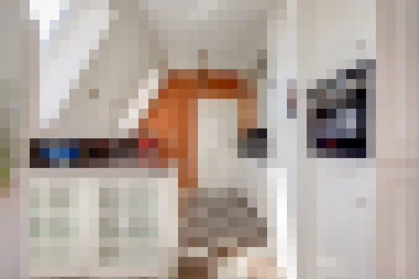 Doctor Marie Curiestraat 25 Venlo thumbnail 17