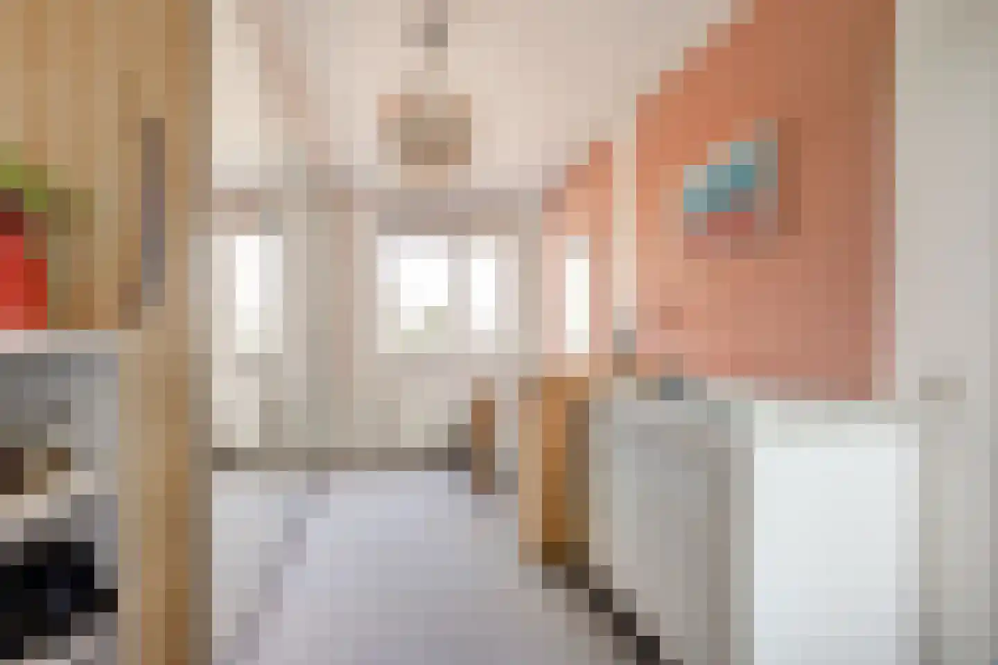Doctor Marie Curiestraat 25 Venlo thumbnail 23