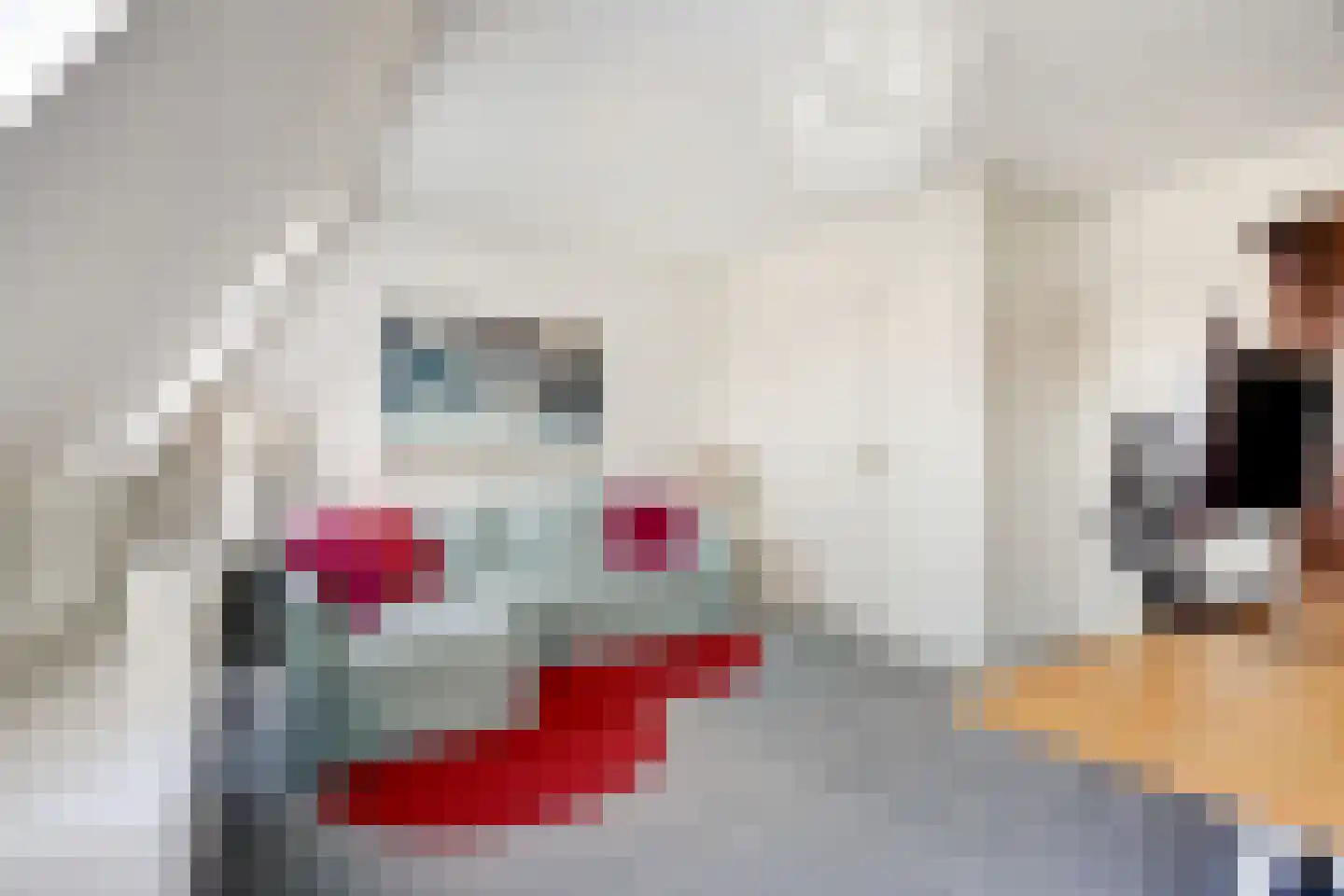 Doctor Marie Curiestraat 25 Venlo thumbnail 30