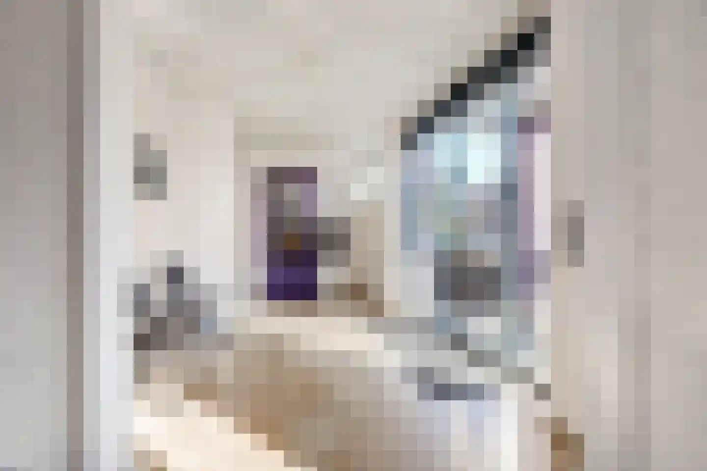Doctor Marie Curiestraat 25 Venlo thumbnail 38